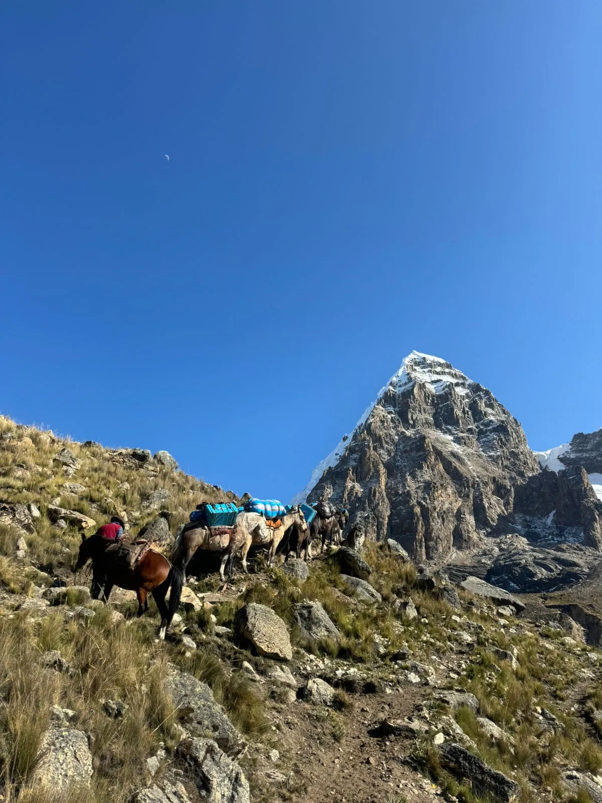 Huayhuash Trek - 10 days - Image 22