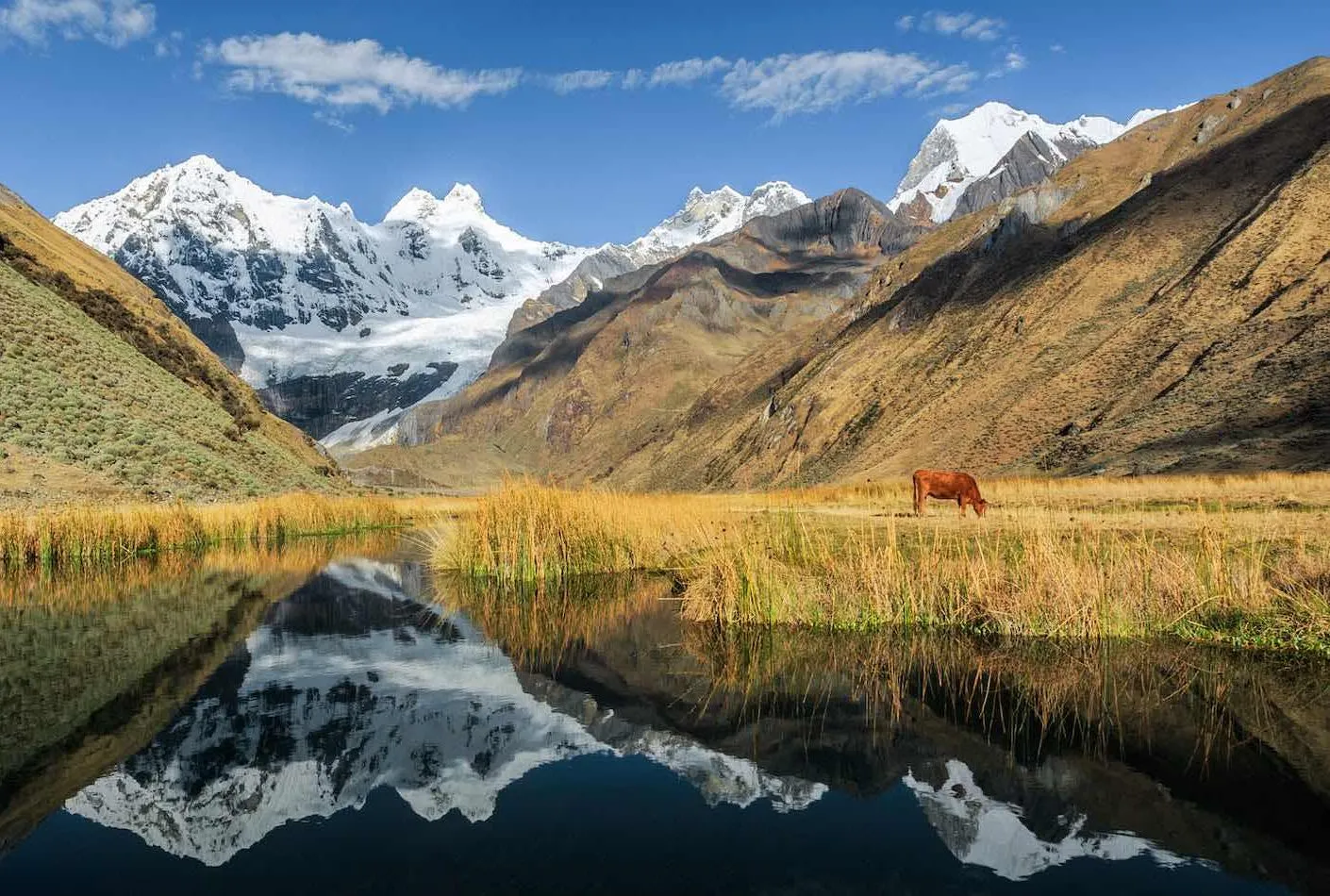 Huayhuash Trek & Diablo Mudo Climb